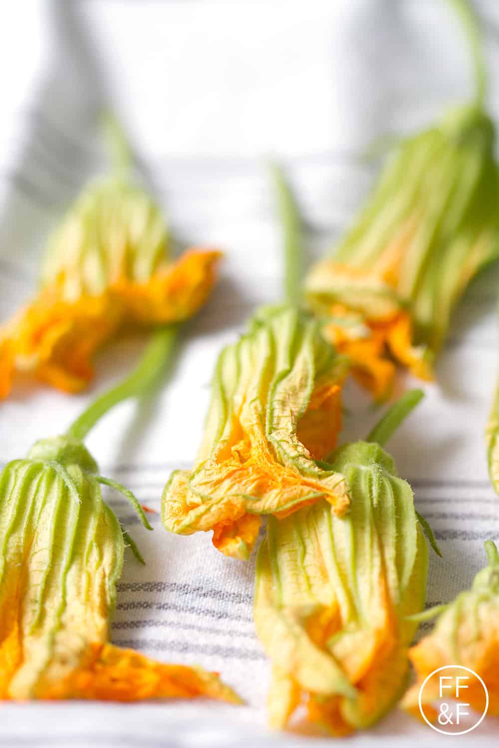 How to Clean and Prepare Squash Blossoms