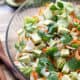 This is the Best Chopped Salad recipe ever! Itâ€™s made with fresh spring veggies and a herby salad dressing. Itâ€™s the perfect light lunch or side salad. This recipe fits the Autoimmune Protocol diet (AIP), Paleo, Vegan and Allergy Friendly.