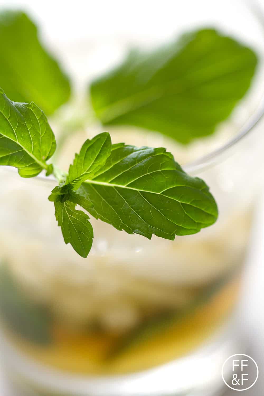 Mint Julep from foodfashionandfun.com