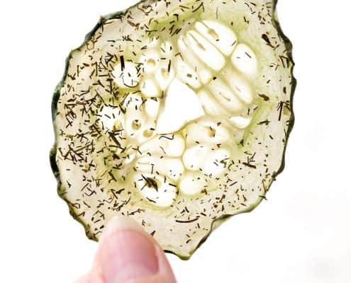 close up of dill cucumber chip