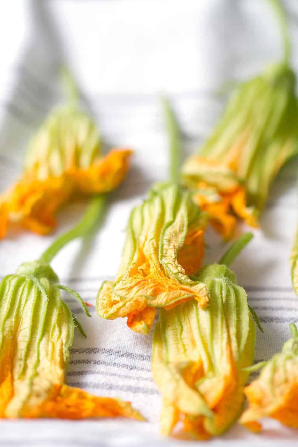 How To Clean And Prepare Squash Blossoms Bon Aippetit