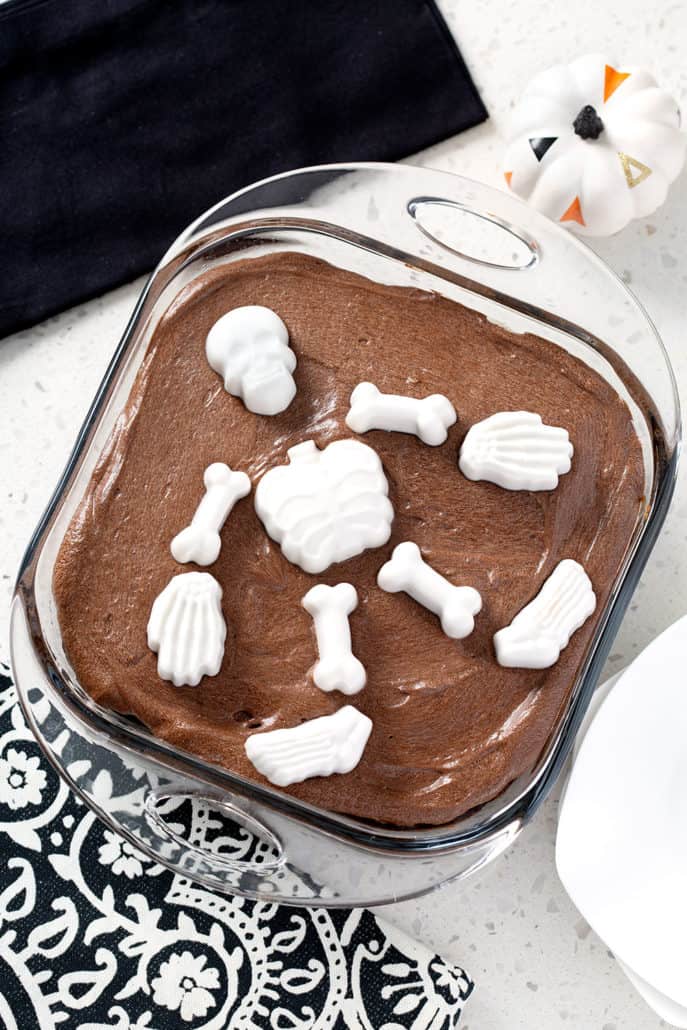 chocolate cake from above with skeleton mold on top