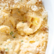 close up of chip in Dairy Free Crab Dip